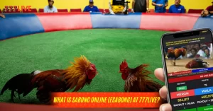 What Is Online Sabong (ESabong) at 777Live