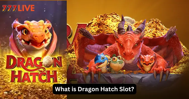 What is Dragon Hatch Slot