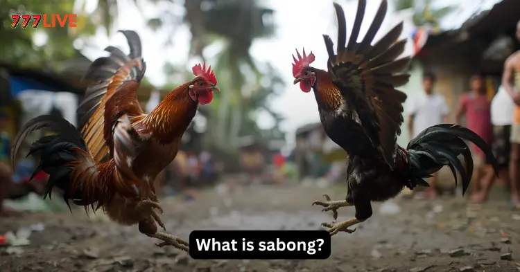 What is sabong at 777live